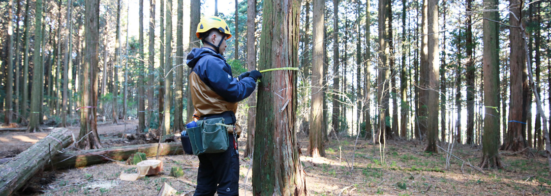 資産価値を向上させる山づくり